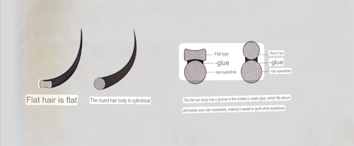 Matte Platinum Camellia Lash trays