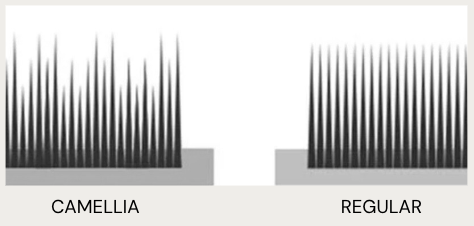 Matte Platinum Camellia Lash trays