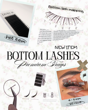 Bottom Lash trays Mix tray
