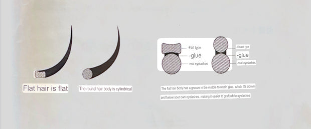 Matte Platinum Camellia Lash trays